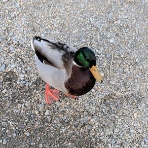 Meet your Posher, Tina